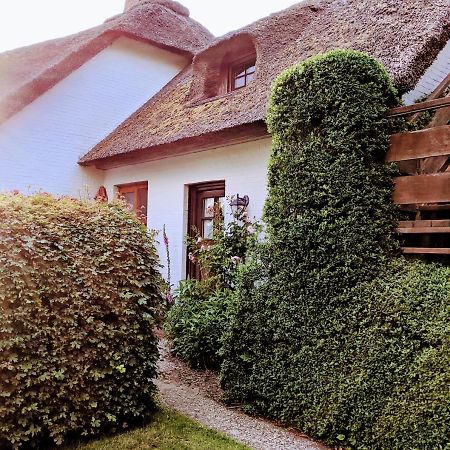 Ferienhaus Ebbe Und Flut, Terrassen-Whg Nieblum Luaran gambar
